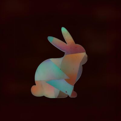 Vetrofania coniglio con effetto prismatico
