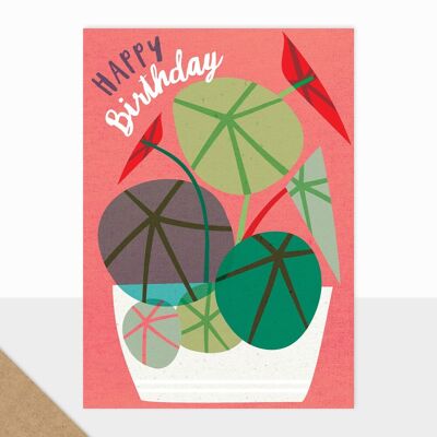 Colección Bloom - Feliz Cumpleaños - Tarjeta de Cumpleaños - Planta de la Casa