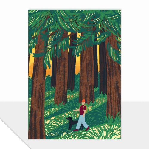 Blank Card - Spectrum Collection - Woodland Walker