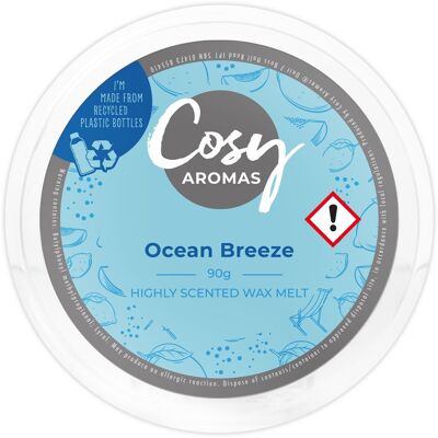 Ocean Breeze (90g Wachsschmelze)