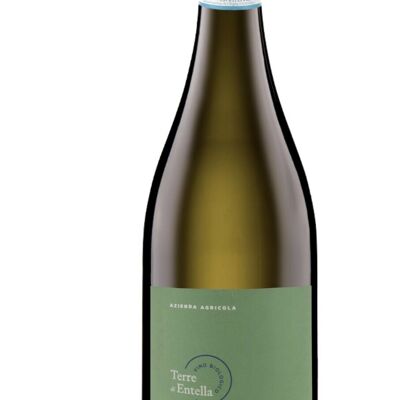 Grillo Doc Sicilia 2022 – Vin blanc