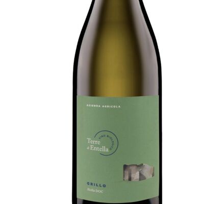 Grillo Doc Sicilia 2022 – White wine