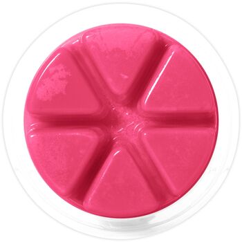 Rose Wonderland (50 g de cire fondue) 2