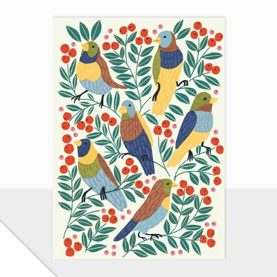 Carte vierge - Collection Spectrum - Oiseaux nicheurs