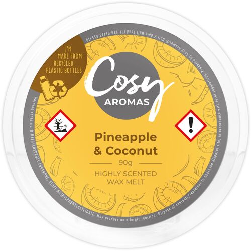 Pineapple & Coconut (90g Wax Melt)