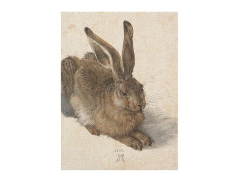 Softcover art sketchbook, Dürer, Hare