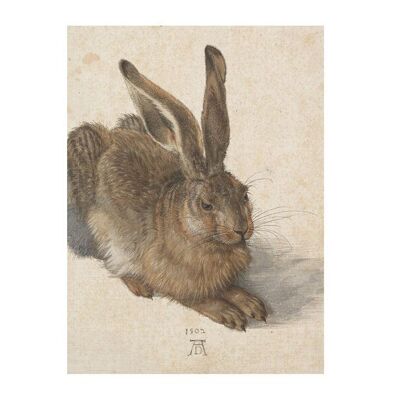 Softcover art sketchbook, Dürer, Hare