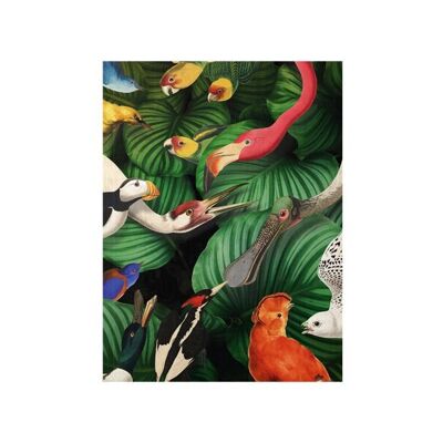 Softcover art sketchbook, Bird life, Teylers Museum