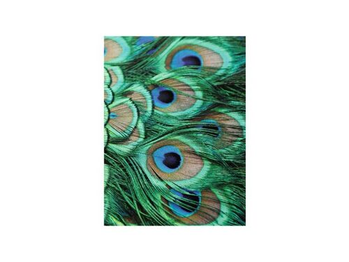 Softcover art sketchbook, peacock feathers