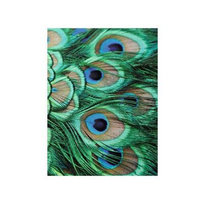 Softcover art sketchbook, peacock feathers