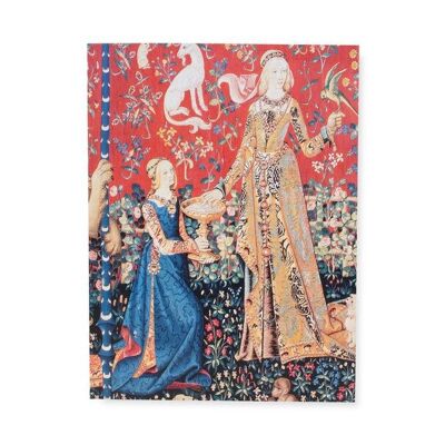 Cuaderno de bocetos de arte de tapa blanda, Tapestry Dame Cluny