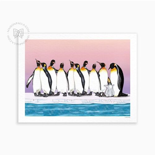 Affiche déco illustration pingouins