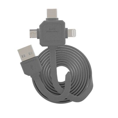 Powercube - CABLE USB USB-C (GRIS)