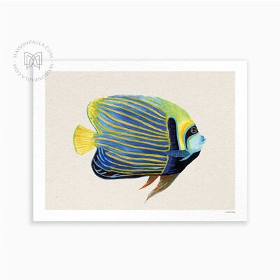 Poster mit Deko-Zeichnung „Empereur Fish“