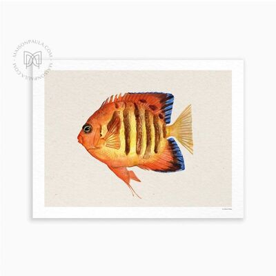 Affiche Déco dessin Poisson flamme