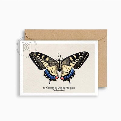 Carta Postal Papillon Machaon
