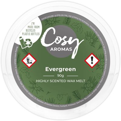 Evergreen (90g de cire fondue)