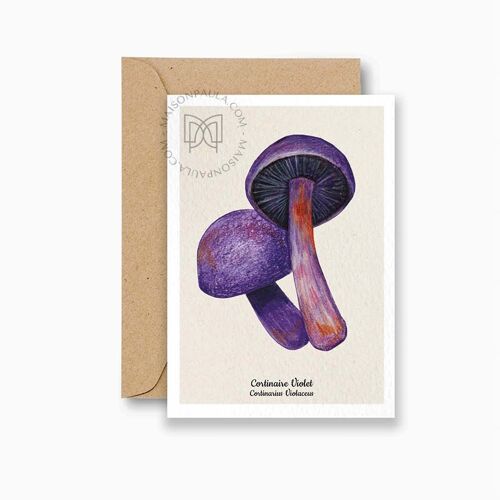 Carte postale Champignon Cortinaire violet