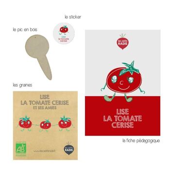 Mini kit de graines BIO de Lise la tomate cerise 3
