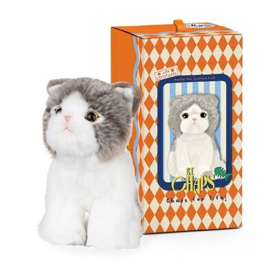 BTC - Amelie la Escocesa Fold en caja de regalo - 17 cm - %