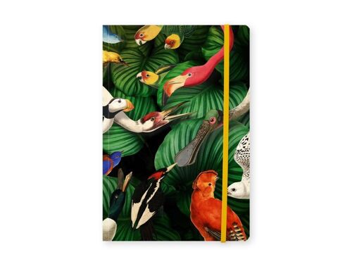 Softcover Notebook, A5, Bird life, Teylers Museum