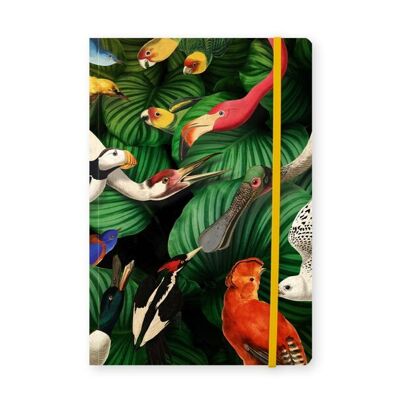 Cuaderno de tapa blanda, A5, Vida de las aves, Museo Teylers
