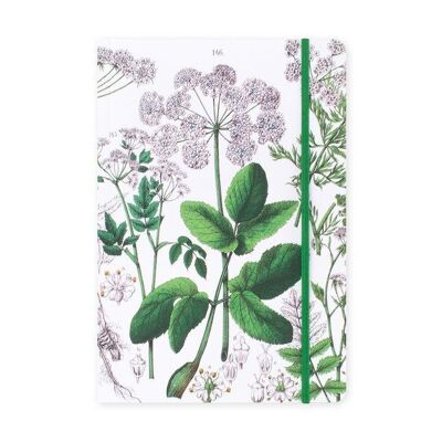 Cuaderno de tapa blanda, A5, saúco, Hortus Botanicus