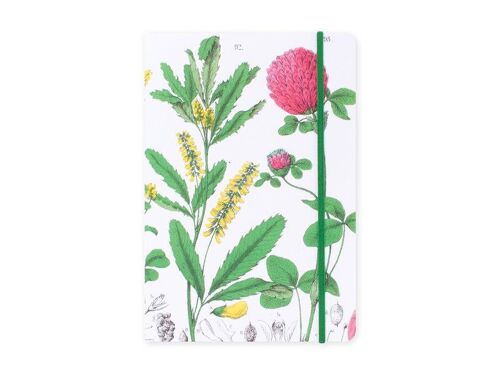 Softcover Notebook, A5, Red clover flower, Hortus Botanicus