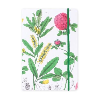 Cuaderno de tapa blanda, A5, Flor de trébol rojo, Hortus Botanicus