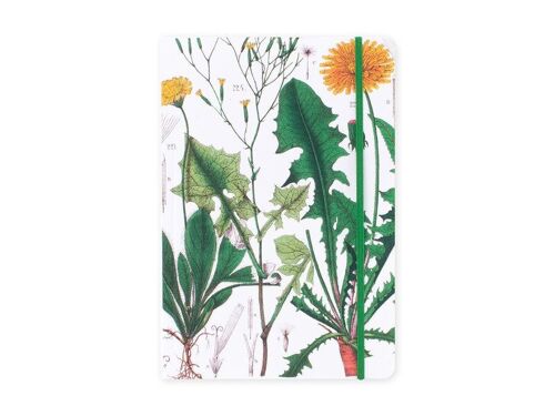 Softcover Notebook, A5, Dandelion, Hortus Botanicus