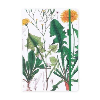 Softcover Notebook, A5, Dandelion, Hortus Botanicus