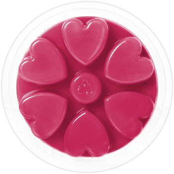 Velvet Rose & Oud (90 g de cire fondue) 2