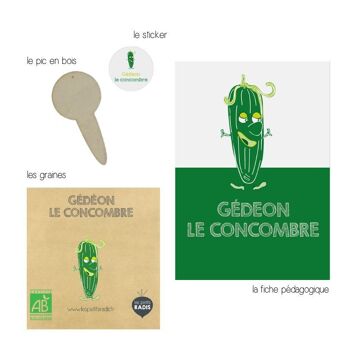 Mini kit de graines BIO de Gédéon le concombre 2