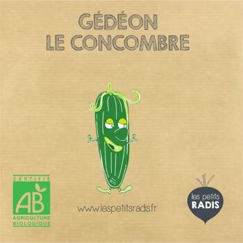 Mini kit de graines BIO de Gédéon le concombre 3