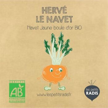 Mini kit de graines BIO de Hervé le navet 3