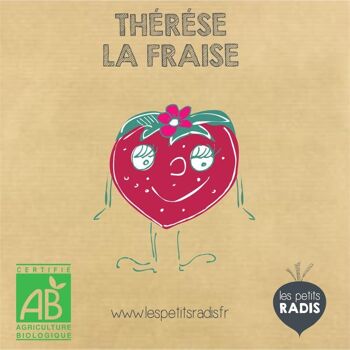 Mini kit de graines BIO de Thérèse la Fraise 3