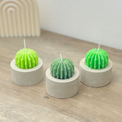 Round Barrel Cactus Candle - Cactus Home Decor - Cacti Gifts