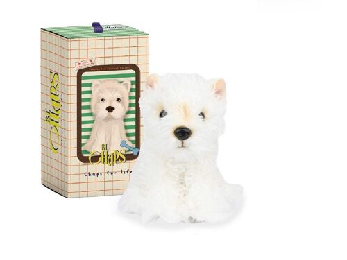 BTC - Timothy le Terrier Ecossais en boîte cadeau - 17 cm - %