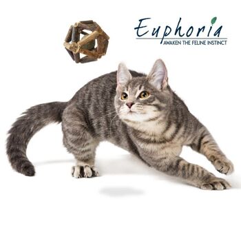 Jeu de balle à chat avec balle à herbe à chat - Euphoria 5