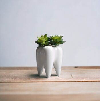 Pot de plante en céramique en forme de dent 1