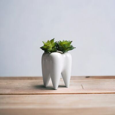 Blumentopf aus Keramik in Zahnform