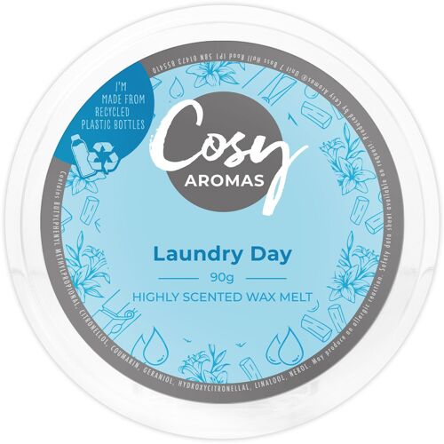 Laundry Day (90g Wax Melt)