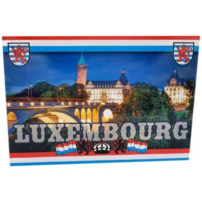 Carte Postale Vue du Luxembourg 12x17Cm
