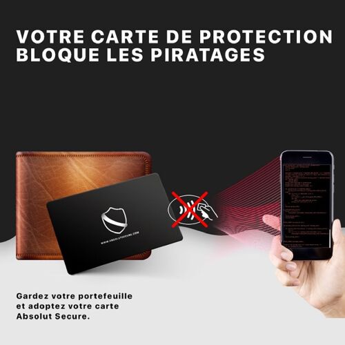 Carte Anti-Piratage Absolut Secure