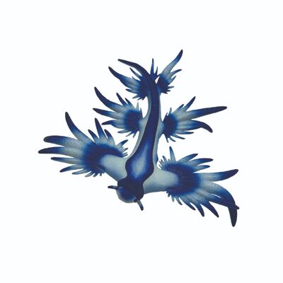 Figura de animal caracol marino azul