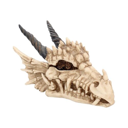 Nemesis Now - Crâne de Dragon Ivoire 20 cm