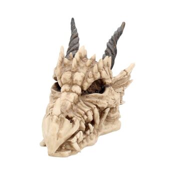 Nemesis Now - Crâne de Dragon Ivoire 20 cm 2
