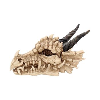Nemesis Now - Crâne de Dragon Ivoire 20 cm 3