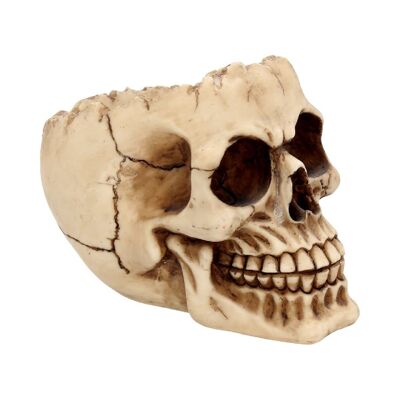 Némesis ahora - Lobo Skull 14.5cm