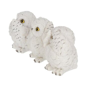 Nemesis Now - Statues Three Wise Owls 8Cm 2
